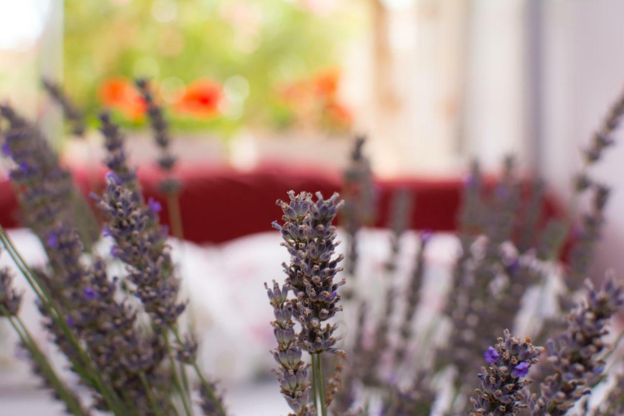 Apartment Vida - Amazing Place With Garden And Terrace Рієка Екстер'єр фото